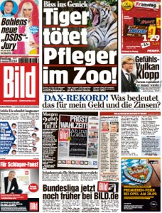 Bild (Germania) 